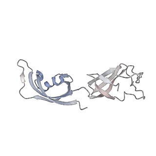 11842_7aoe_G_v1-0
Schizosaccharomyces pombe RNA polymerase I (elongation complex)