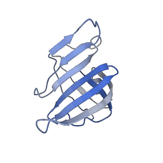 11842_7aoe_H_v1-0
Schizosaccharomyces pombe RNA polymerase I (elongation complex)