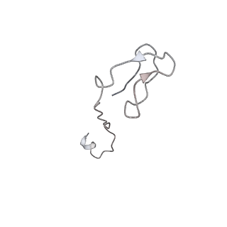 11842_7aoe_I_v1-0
Schizosaccharomyces pombe RNA polymerase I (elongation complex)
