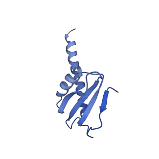 11842_7aoe_K_v1-0
Schizosaccharomyces pombe RNA polymerase I (elongation complex)