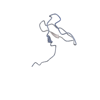 11842_7aoe_L_v1-0
Schizosaccharomyces pombe RNA polymerase I (elongation complex)