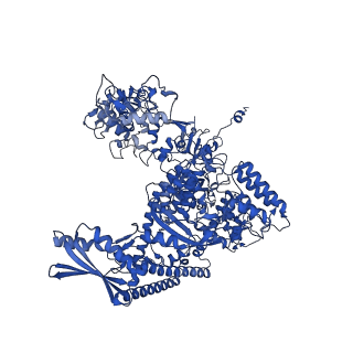 11843_7aof_A_v1-2
Atomic structure of the poxvirus transcription late pre-initiation complex