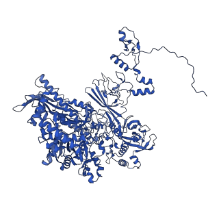 11843_7aof_B_v1-2
Atomic structure of the poxvirus transcription late pre-initiation complex