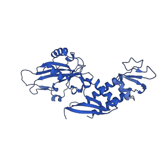 11843_7aof_C_v1-2
Atomic structure of the poxvirus transcription late pre-initiation complex