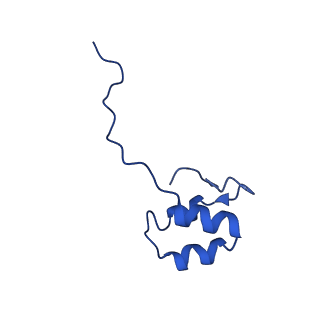 11843_7aof_J_v1-2
Atomic structure of the poxvirus transcription late pre-initiation complex