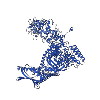 11844_7aoh_A_v1-2
Atomic structure of the poxvirus late initially transcribing complex