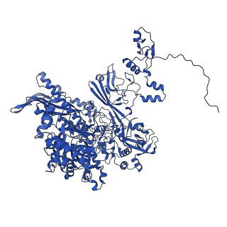 11844_7aoh_B_v1-2
Atomic structure of the poxvirus late initially transcribing complex