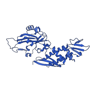 11844_7aoh_C_v1-2
Atomic structure of the poxvirus late initially transcribing complex