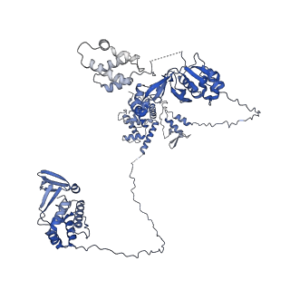 11844_7aoh_I_v1-2
Atomic structure of the poxvirus late initially transcribing complex