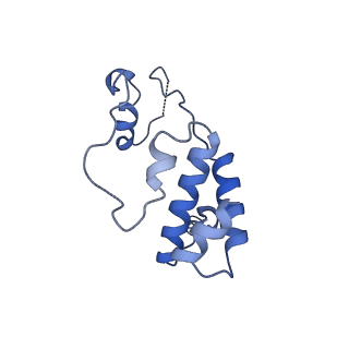 11844_7aoh_S_v1-2
Atomic structure of the poxvirus late initially transcribing complex
