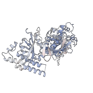 11844_7aoh_Y_v1-2
Atomic structure of the poxvirus late initially transcribing complex