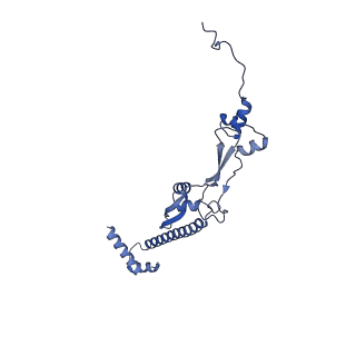 11845_7aoi_A1_v1-2
Trypanosoma brucei mitochondrial ribosome large subunit assembly intermediate