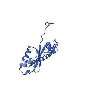 11845_7aoi_A3_v1-2
Trypanosoma brucei mitochondrial ribosome large subunit assembly intermediate