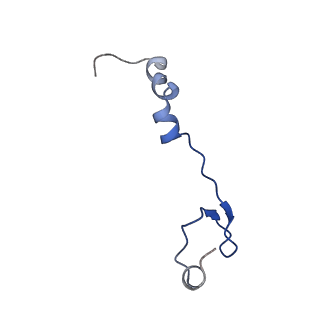 11845_7aoi_A5_v1-2
Trypanosoma brucei mitochondrial ribosome large subunit assembly intermediate