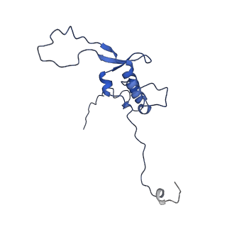 11845_7aoi_A8_v1-2
Trypanosoma brucei mitochondrial ribosome large subunit assembly intermediate