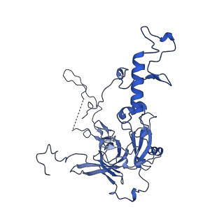 11845_7aoi_AE_v1-2
Trypanosoma brucei mitochondrial ribosome large subunit assembly intermediate