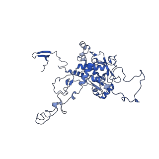 11845_7aoi_AF_v1-2
Trypanosoma brucei mitochondrial ribosome large subunit assembly intermediate