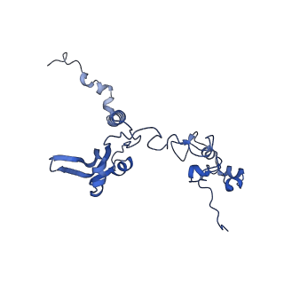 11845_7aoi_AI_v1-2
Trypanosoma brucei mitochondrial ribosome large subunit assembly intermediate