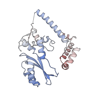 11845_7aoi_AK_v1-2
Trypanosoma brucei mitochondrial ribosome large subunit assembly intermediate
