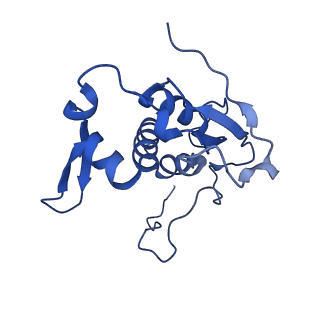 11845_7aoi_AN_v1-2
Trypanosoma brucei mitochondrial ribosome large subunit assembly intermediate