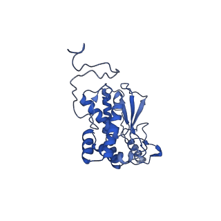 11845_7aoi_AR_v1-2
Trypanosoma brucei mitochondrial ribosome large subunit assembly intermediate