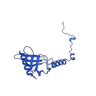 11845_7aoi_AT_v1-2
Trypanosoma brucei mitochondrial ribosome large subunit assembly intermediate
