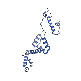 11845_7aoi_AU_v1-2
Trypanosoma brucei mitochondrial ribosome large subunit assembly intermediate