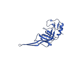 11845_7aoi_AV_v1-2
Trypanosoma brucei mitochondrial ribosome large subunit assembly intermediate