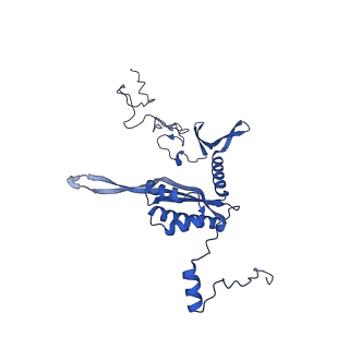 11845_7aoi_AW_v1-2
Trypanosoma brucei mitochondrial ribosome large subunit assembly intermediate