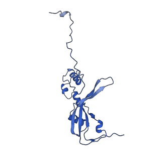 11845_7aoi_AX_v1-2
Trypanosoma brucei mitochondrial ribosome large subunit assembly intermediate