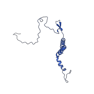 11845_7aoi_Af_v1-2
Trypanosoma brucei mitochondrial ribosome large subunit assembly intermediate