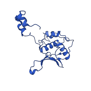 11845_7aoi_Al_v1-2
Trypanosoma brucei mitochondrial ribosome large subunit assembly intermediate