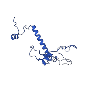 11845_7aoi_Ao_v1-2
Trypanosoma brucei mitochondrial ribosome large subunit assembly intermediate