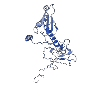 11845_7aoi_Ap_v1-2
Trypanosoma brucei mitochondrial ribosome large subunit assembly intermediate