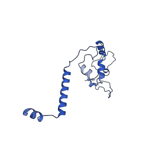 11845_7aoi_At_v1-2
Trypanosoma brucei mitochondrial ribosome large subunit assembly intermediate