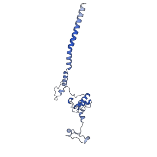 11845_7aoi_Av_v1-2
Trypanosoma brucei mitochondrial ribosome large subunit assembly intermediate