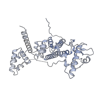 11845_7aoi_BB_v1-2
Trypanosoma brucei mitochondrial ribosome large subunit assembly intermediate
