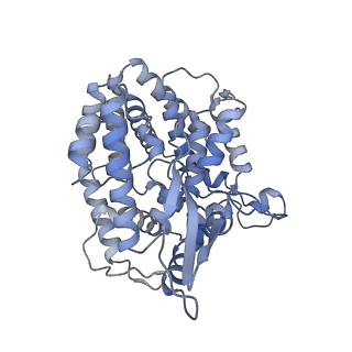 11845_7aoi_BD_v1-2
Trypanosoma brucei mitochondrial ribosome large subunit assembly intermediate