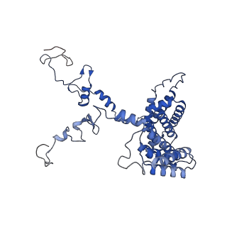 11845_7aoi_BE_v1-2
Trypanosoma brucei mitochondrial ribosome large subunit assembly intermediate