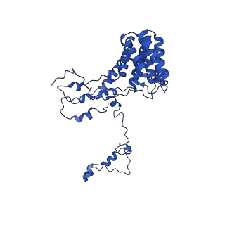 11845_7aoi_BF_v1-2
Trypanosoma brucei mitochondrial ribosome large subunit assembly intermediate