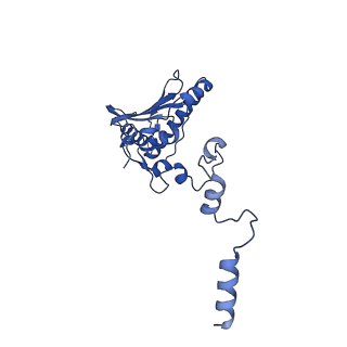 11845_7aoi_BH_v1-2
Trypanosoma brucei mitochondrial ribosome large subunit assembly intermediate
