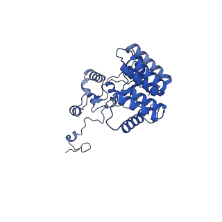 11845_7aoi_BI_v1-2
Trypanosoma brucei mitochondrial ribosome large subunit assembly intermediate
