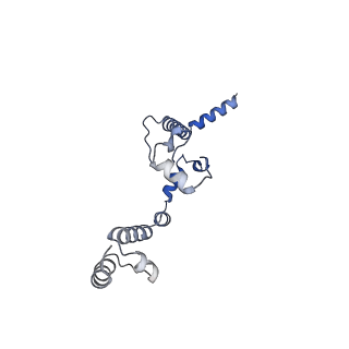 11845_7aoi_BJ_v1-2
Trypanosoma brucei mitochondrial ribosome large subunit assembly intermediate