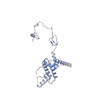 11845_7aoi_BK_v1-2
Trypanosoma brucei mitochondrial ribosome large subunit assembly intermediate