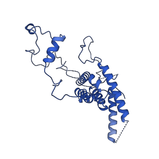 11845_7aoi_BL_v1-2
Trypanosoma brucei mitochondrial ribosome large subunit assembly intermediate