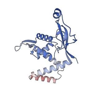 11845_7aoi_BN_v1-2
Trypanosoma brucei mitochondrial ribosome large subunit assembly intermediate