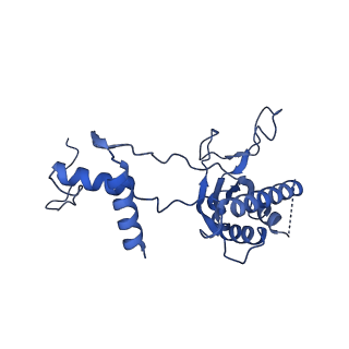 11845_7aoi_BO_v1-2
Trypanosoma brucei mitochondrial ribosome large subunit assembly intermediate