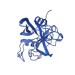 11845_7aoi_BQ_v1-2
Trypanosoma brucei mitochondrial ribosome large subunit assembly intermediate