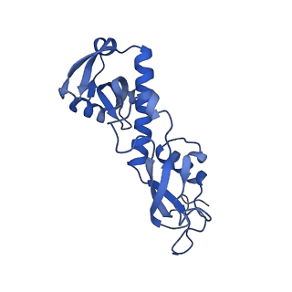 11845_7aoi_BR_v1-2
Trypanosoma brucei mitochondrial ribosome large subunit assembly intermediate