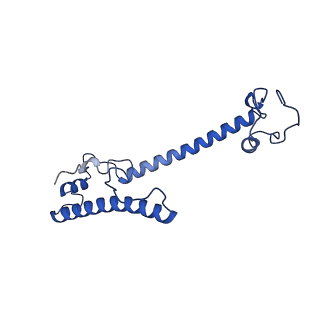 11845_7aoi_BT_v1-2
Trypanosoma brucei mitochondrial ribosome large subunit assembly intermediate